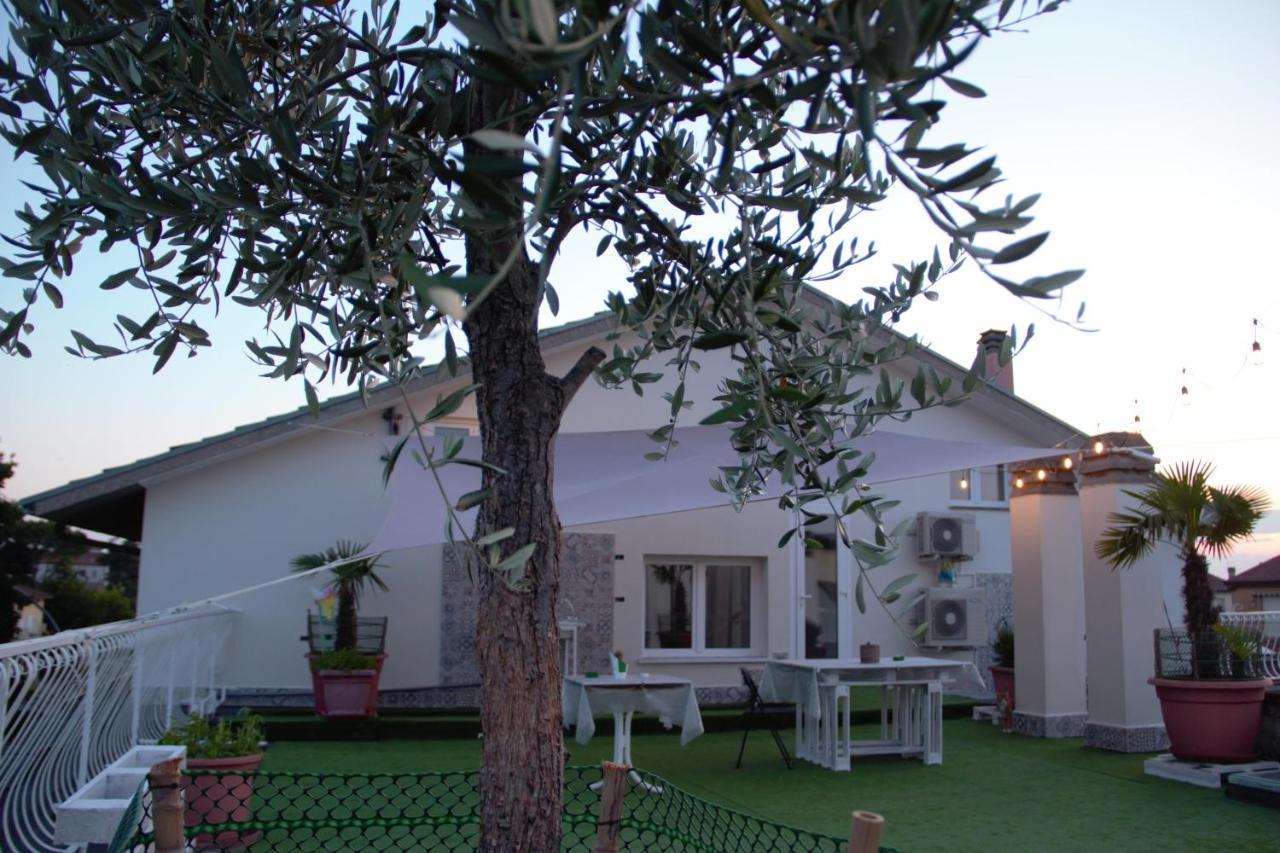 Terrazza Zalamella Bed & Breakfast